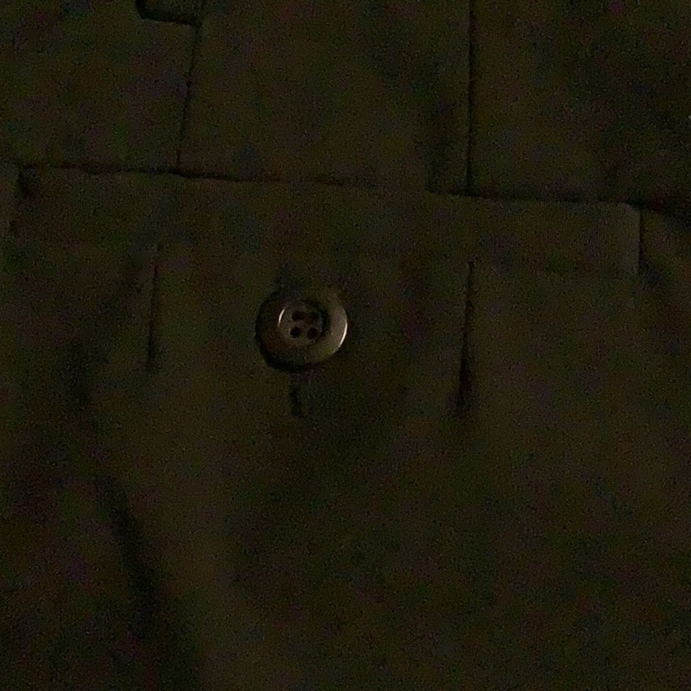 Talbots Polyester/Rayon Blend Pants - image 3